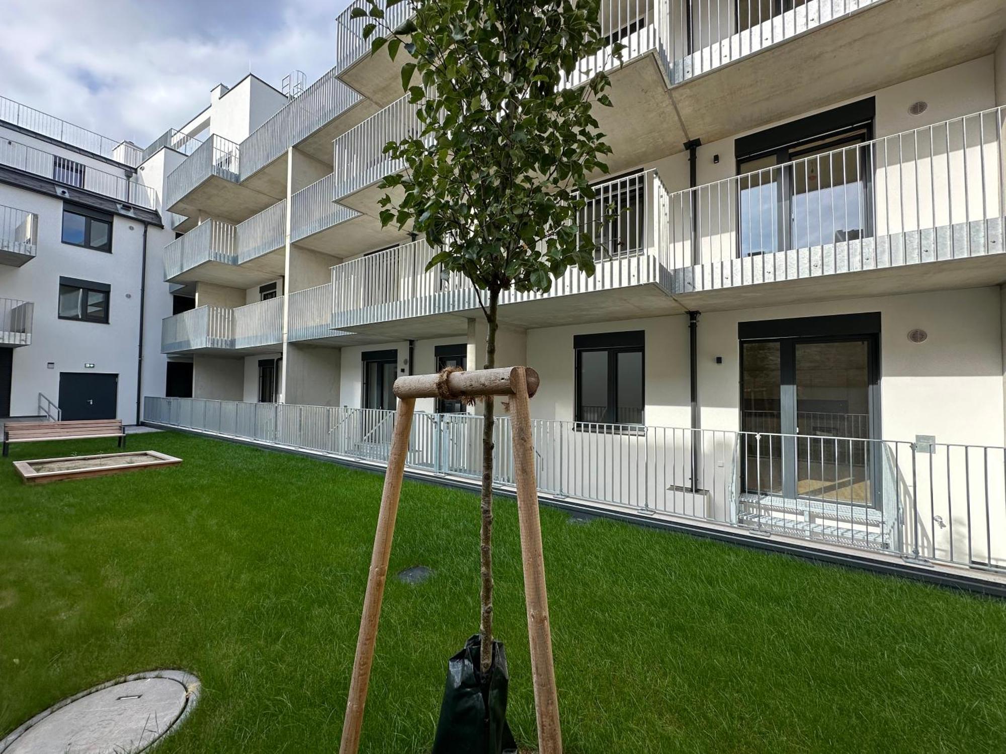 Schoenbrunn Garden Apartments Wenen Buitenkant foto